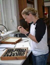 Rosie Stanbrook-Buyer